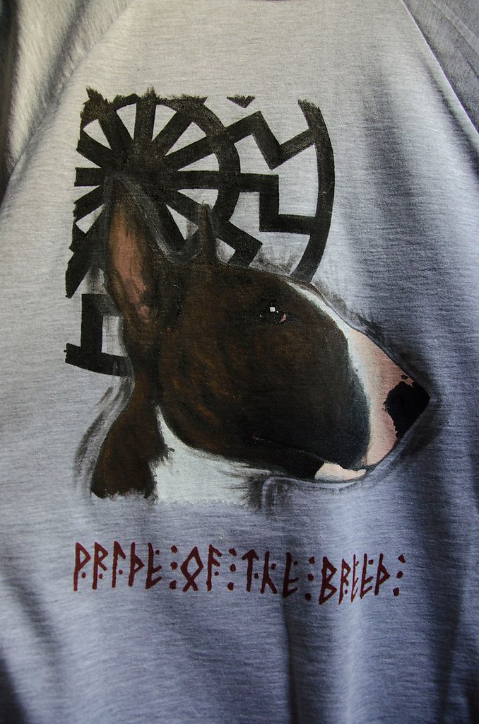 Для Новогоднего КОНКУРСА от спонсора будет предоставлен приз - Майка с символикой ... - 4