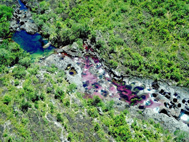 K-Kpc - o   .po o p -cc (Cao Cristales), ...