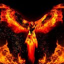 ���� �����, �����-���������, 43 ���� - ��������� 19 ������� 2016 � ������ ���� ����������