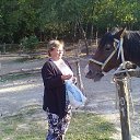 ���� �������, ��������, 61 ��� - ��������� 24 ������ 2017 � ������ ���� ���� ������