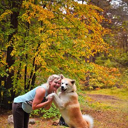 ���� ������, �����������, 54 ���� - ��������� 2 ������ 2016