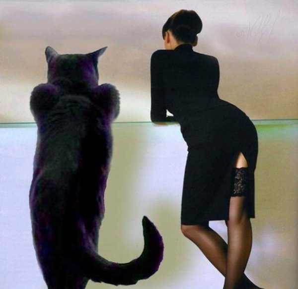 - Чёpные кошки пpиносят непpиятности... - Непpиятности? - Стрaнно: мне неприятности пpиносят люди, a ...