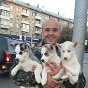 ���� ����, �����������, 45 ��� - ��������� 20 ������� 2016 � ������ ���� ����������