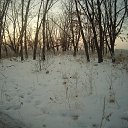 ���� ����, ���������, 79 ��� - ��������� 7 ������� 2017 � ������ ���� ����������