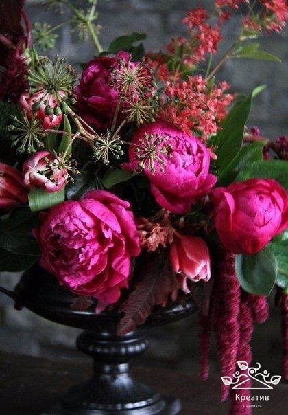 , ,  - 15  2016  08:20 - 4