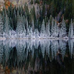 ���� ���������, �����������, 37 ��� - ��������� 8 ������ 2016