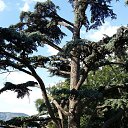 ���� �������, �����������, 53 ���� - ��������� 19 �������� 2016 � ������ �����