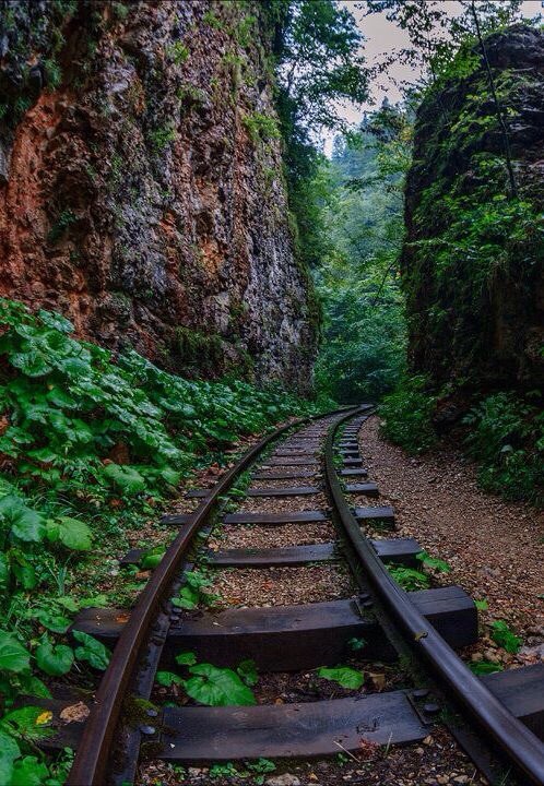  ,  ...  ,  ,  ,   ...