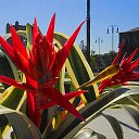  ,  -  20  2016        ͻ