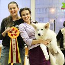 ��� ������ � ���������) BEST�, �������� ����� *����*, 13.11.2016, ������ �� ������� ���� �������