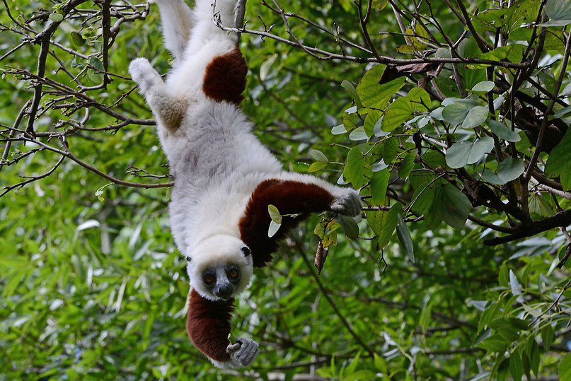 �������� ������