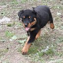 ���� ����, �����, 34 ���� - ��������� 9 ������� 2016 � ������ ������ ��������