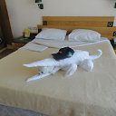 ���� ������, �����-���������, 55 ��� - ��������� 8 ������� 2016 � ������ ���� ����������