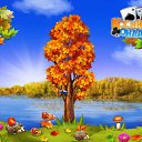 ���� ����, �����-���������, 37 ��� - ��������� 24 ������� 2016 � ������ �������� �������-�������
