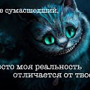 ���� ����, ������, 46 ��� - ��������� 25 ������ 2016