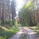 ���� ����, �����, 99 ��� - ��������� 11 ������� 2017 � ������ ���� ����������