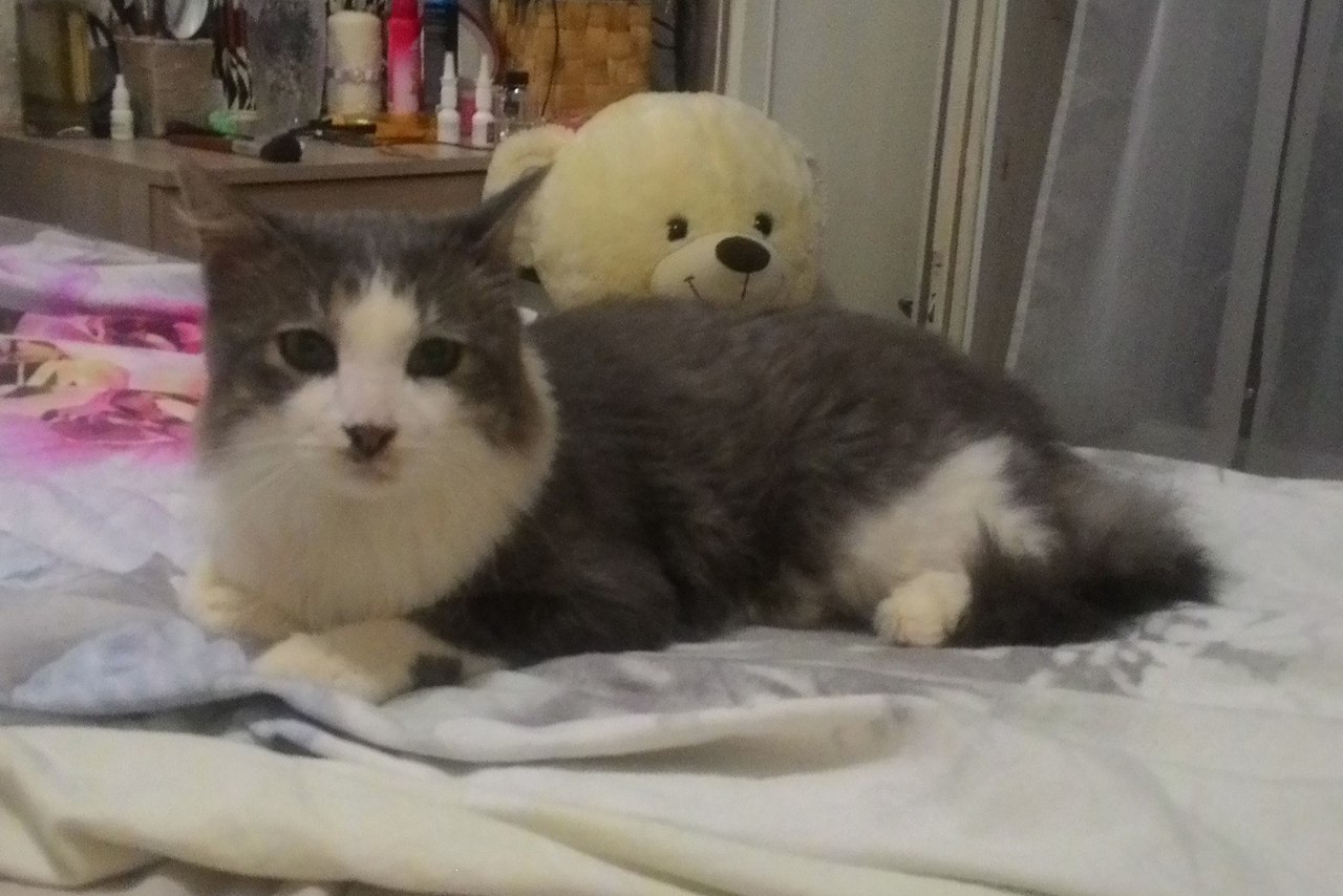 #_.  ,     -  1 -      ... - 2