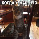 ���� Invade2008, ������, 52 ���� - ��������� 30 ������ 2017 � ������ ������ ��������