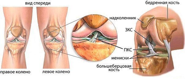 Опять статья про связки и суставы. Лишним не будет ещё раз напомнить о важности защиты и лечении ...