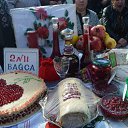  ,  -  14  2016       ̻