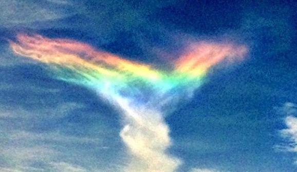 ������� ������� � �������! ���������� ��� � ����������� 8 ����� !