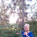  , , 85  -  15  2016    2016