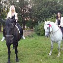 ���� ��������, �������, 61 ��� - ��������� 26 �������� 2016 � ������ ������� GRI Birds(����� �����)�