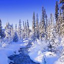 ���� ������, ����������, 49 ��� - ��������� 21 ������ 2016 � ������ ���� ����������