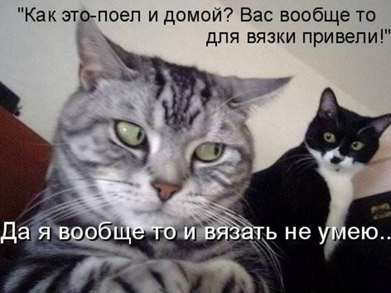   - 10  2016  19:43