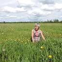 ���� ����, ���������, 62 ���� - ��������� 2 ������� 2016 � ������ ���� ����������