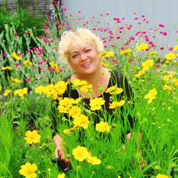 ���� �������, ������ - ��������� 26 ������ 2016