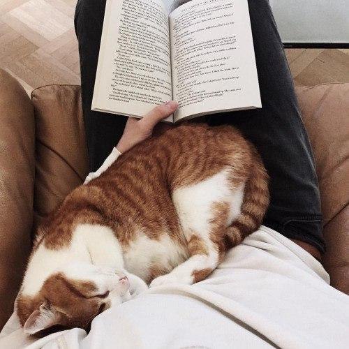     ,      ,   ,    ... - 5