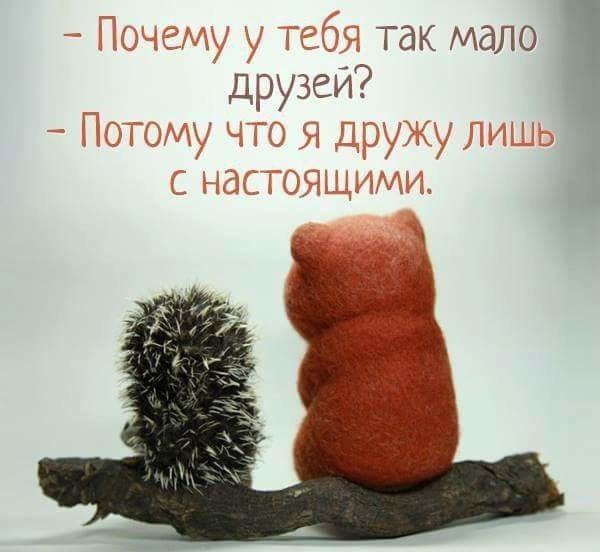 Спасибо всем, кто в трудную минуту.Не бросил камень в спину, не предал. Спасибо, кто не сеял ...