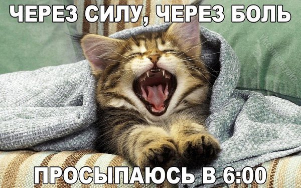 ������� ����� ����� :-) - 23 ������� 2016 � 06:37