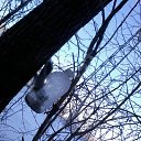 ���� 18.01.2017 .����� ����� ����� �� ������� ���� ����������