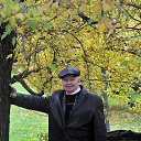  , , 83  -  22  2017    2016.