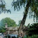 ���� ������, �����-���������, 55 ��� - ��������� 20 ������ 2016 � ������ ���� ����������