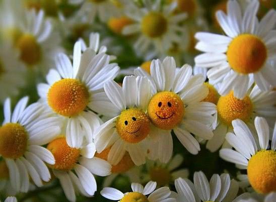 .            ,      ...