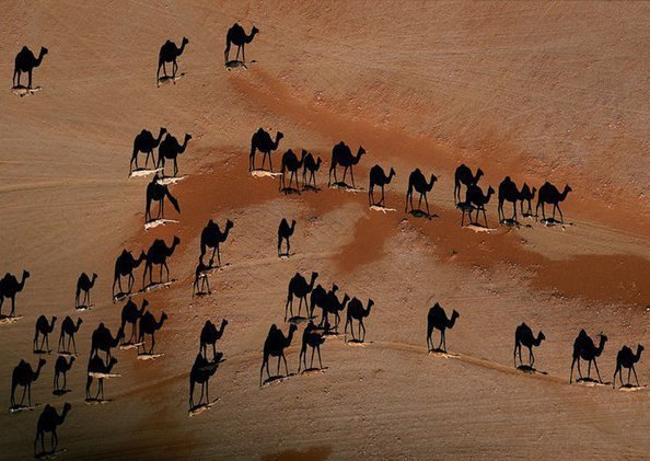 10 фотографий бeз фотошопа, где реальноcть гpаничит с иллюзиeй - 5