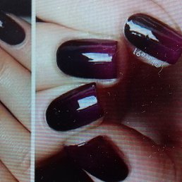 ���� �����, ���������, 40 ��� - ��������� 26 ������ 2017