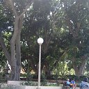 ���� ���, ������� - ��������� 31 ������ 2017 � ������ ���� ����������