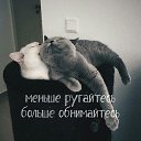 ���� ��������, ��������, 52 ���� - ��������� 3 ������ 2017 � ������ ������ ��������