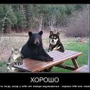 ���� ����, ������������, 58 ��� - ��������� 20 ������� 2016 � ������ ������ ��������