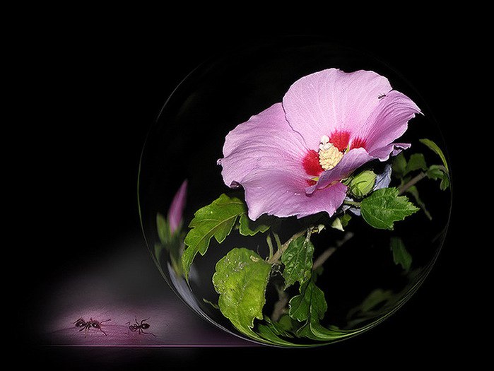 ))). Monuela Moya "Expecty" Monuela Moya "Expecty" ... - 11