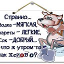 ���� Dim, ������-��-����, 48 ��� - ��������� 9 ������ 2017 � ������ ���� ����������