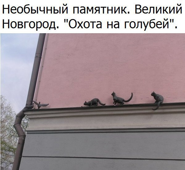  - 24  2016  22:12