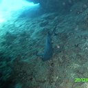 ���� �����, ��������, 48 ��� - ��������� 7 ����� 2017 � ������ ��������� ������� � ������