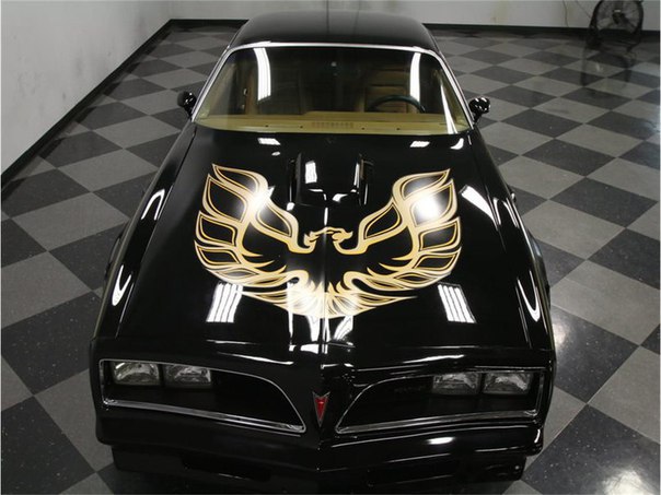 1978 Pontiac Firebird Trans Am - 3