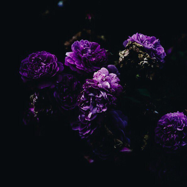   - 19  2017  00:49 - 4