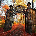 ���� ����, ������, 58 ��� - ��������� 9 ������� 2016 � ������ �������